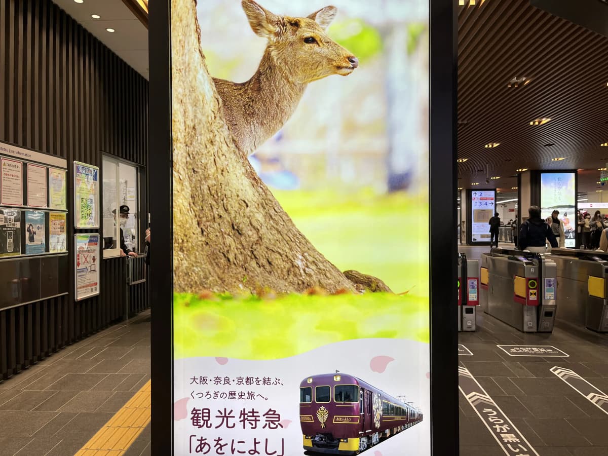 奈良一日遊體驗 : AONIYOSHI搭乘、奈良公園、東大寺、京都Smart coffee、京的燒肉處 弘 千本三條本店