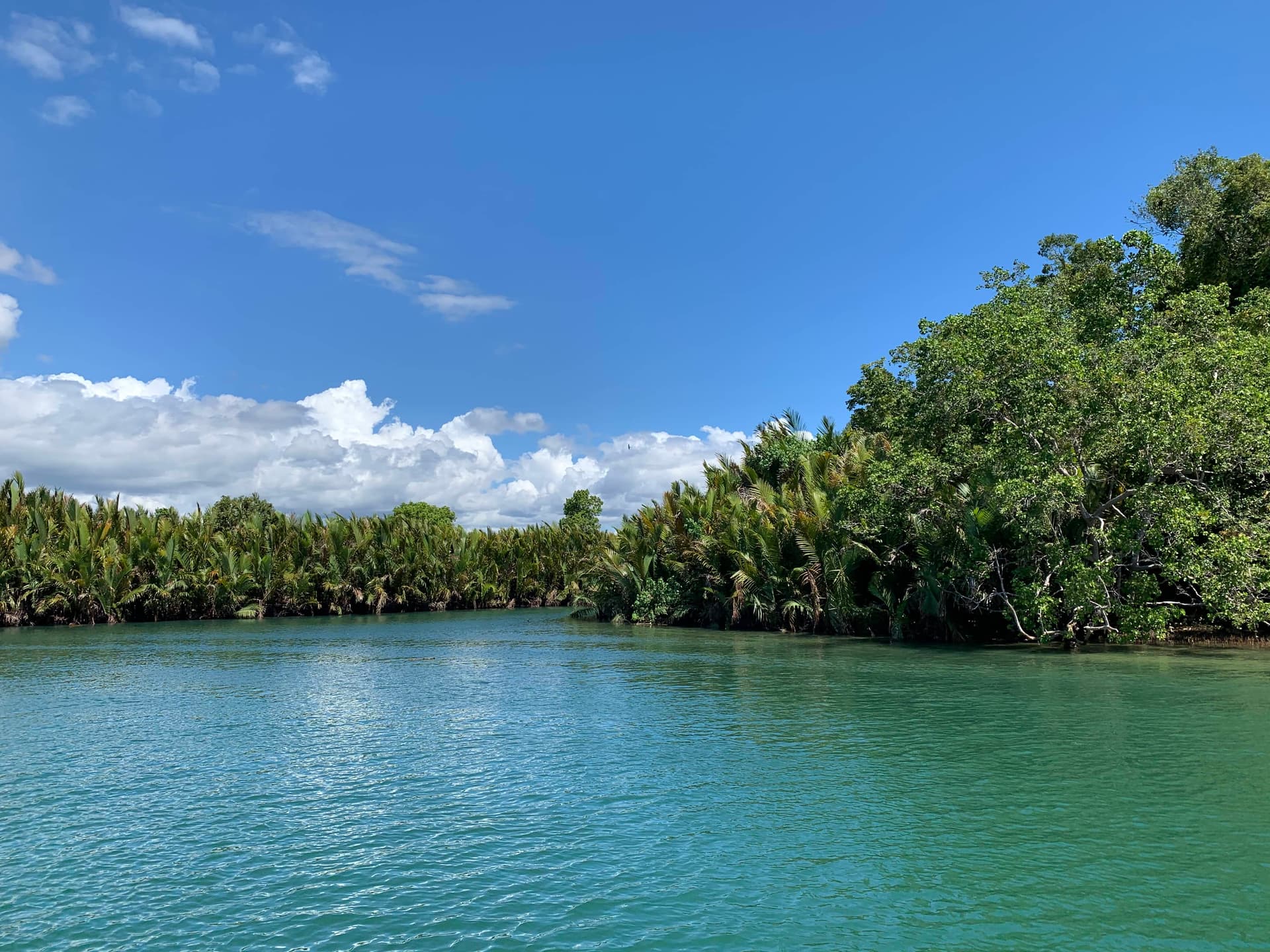 Loboc River